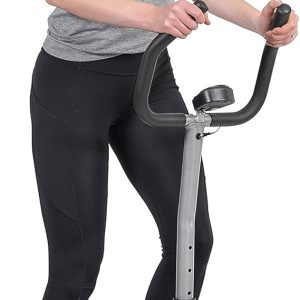 Sunny Health & Fitness Steppers